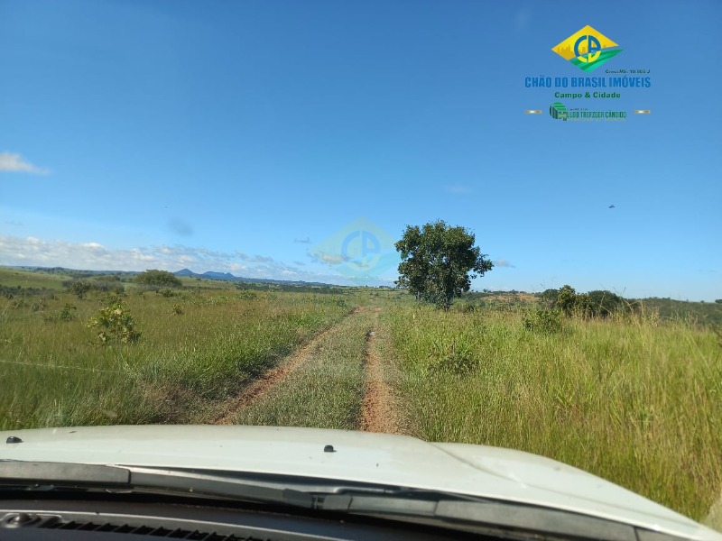 Fazenda à venda com 2 quartos, 1000m² - Foto 4