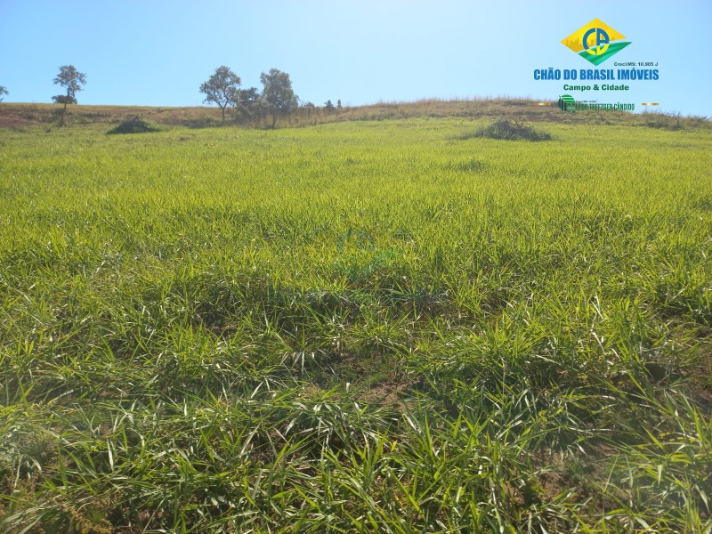 Fazenda à venda com 2 quartos, 1000m² - Foto 2