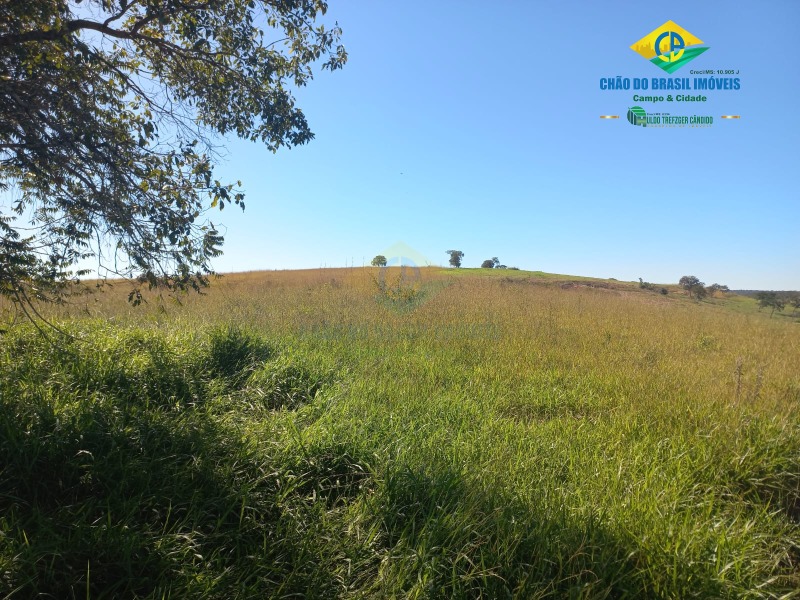 Fazenda à venda com 2 quartos, 1000m² - Foto 6