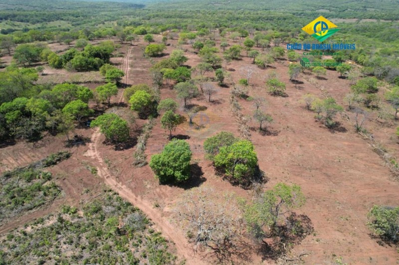 Fazenda à venda com 3 quartos - Foto 15