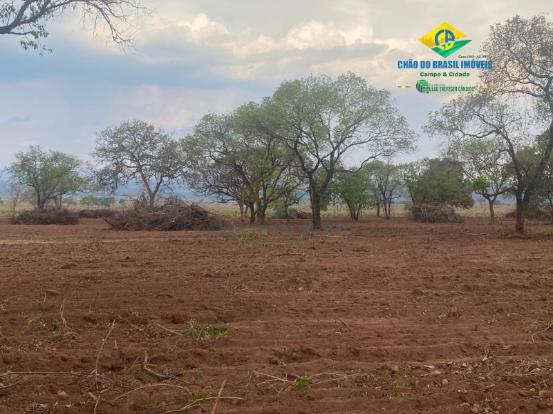 Fazenda à venda com 3 quartos - Foto 10