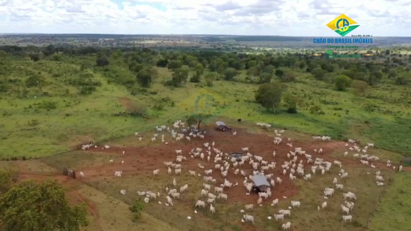 Fazenda à venda com 10 quartos, 500m² - Foto 18