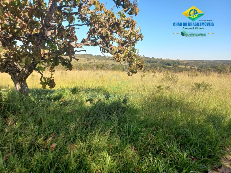 Fazenda à venda com 2 quartos, 1000m² - Foto 14