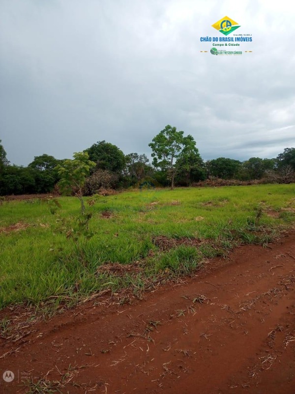 Fazenda à venda com 3 quartos - Foto 61