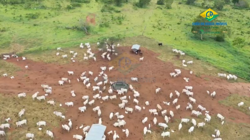 Fazenda à venda com 10 quartos, 500m² - Foto 19