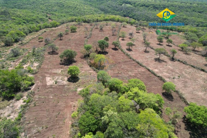 Fazenda à venda com 3 quartos - Foto 17