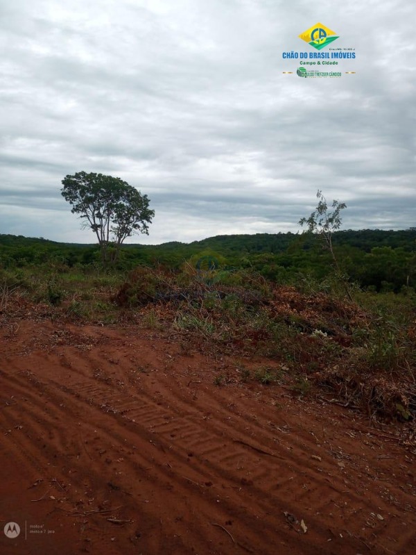 Fazenda à venda com 3 quartos - Foto 1