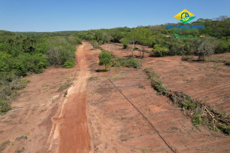 Fazenda à venda com 3 quartos - Foto 16