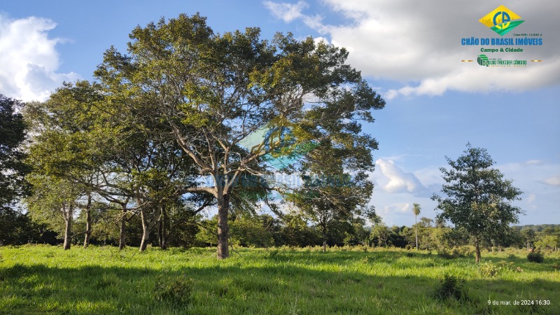 Chácara à venda com 1 quarto - Foto 6