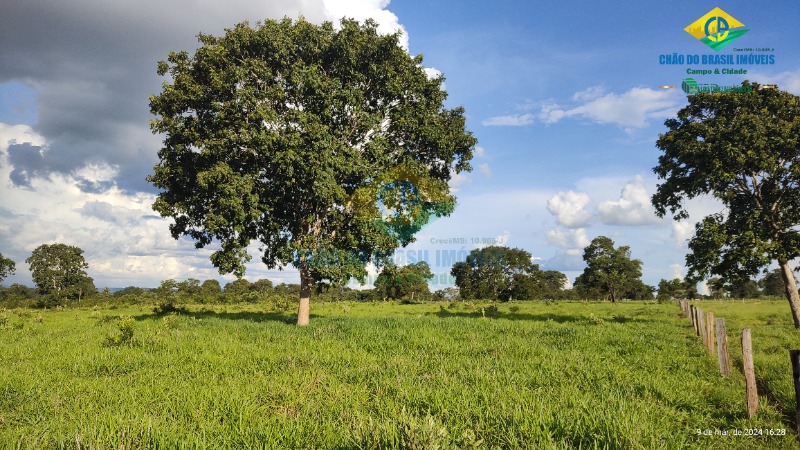 Chácara à venda com 1 quarto - Foto 5