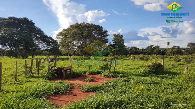 Chácara à venda com 1 quarto - Foto 8