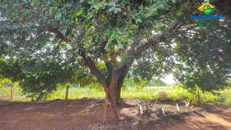 Terreno à venda, 60m² - Foto 14