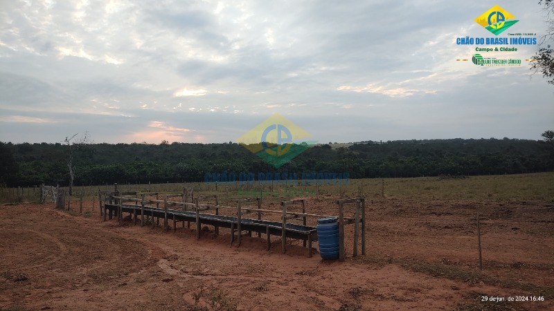 Fazenda à venda com 4 quartos - Foto 45