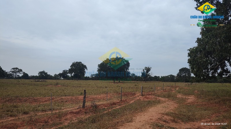 Fazenda à venda com 4 quartos - Foto 46