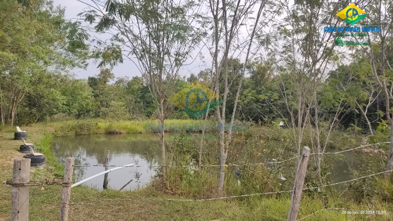 Fazenda à venda com 4 quartos - Foto 41