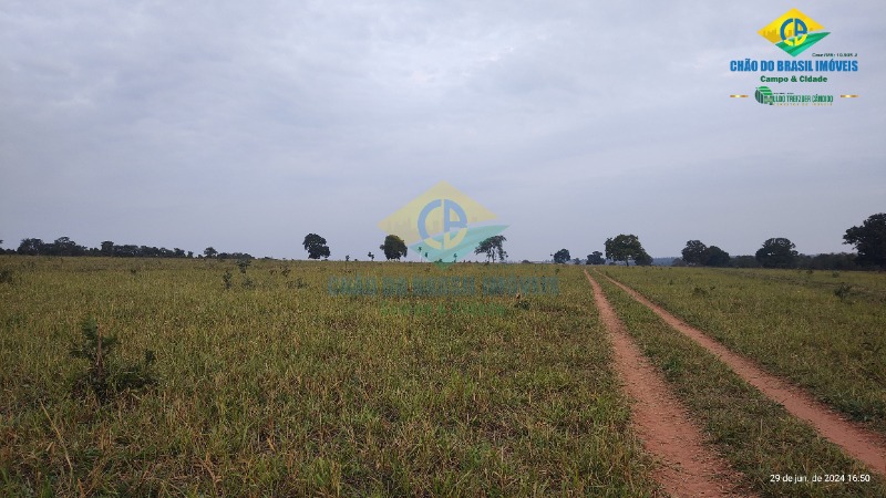 Fazenda à venda com 4 quartos - Foto 48