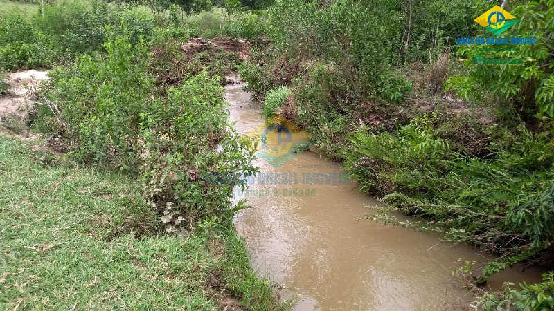 Fazenda à venda com 4 quartos - Foto 7