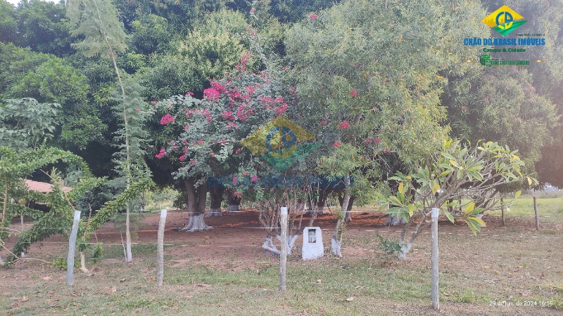 Fazenda à venda com 4 quartos - Foto 16