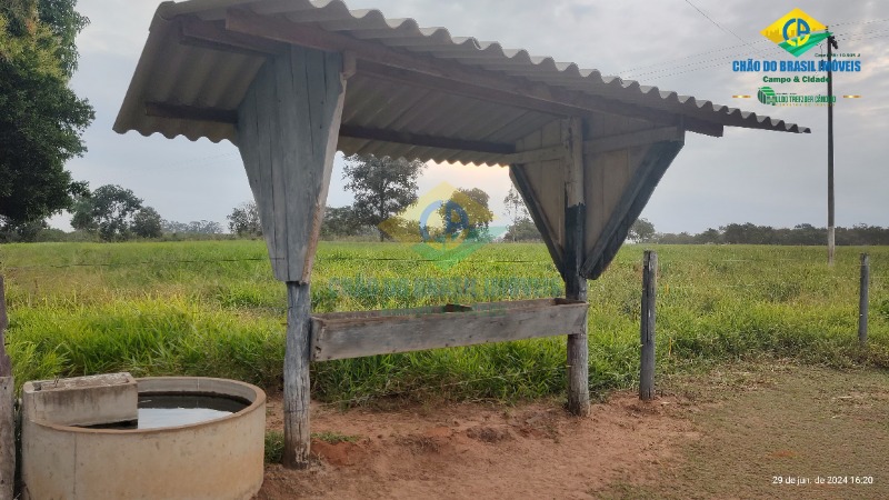 Fazenda à venda com 4 quartos - Foto 17