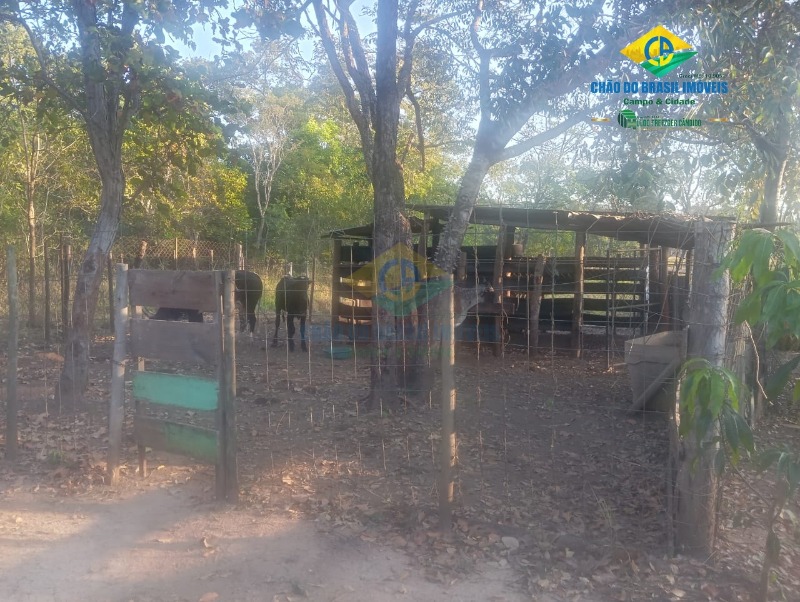 Chácara, 2 quartos - Foto 37