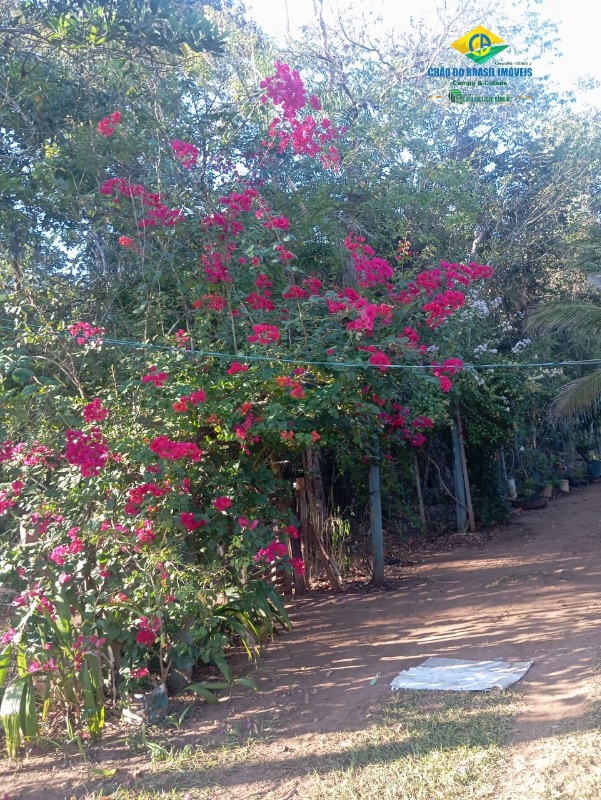 Chácara, 2 quartos - Foto 21