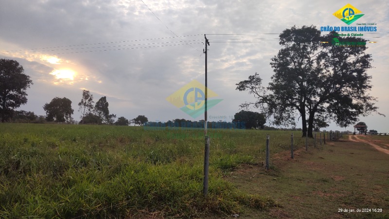 Fazenda à venda com 4 quartos - Foto 43