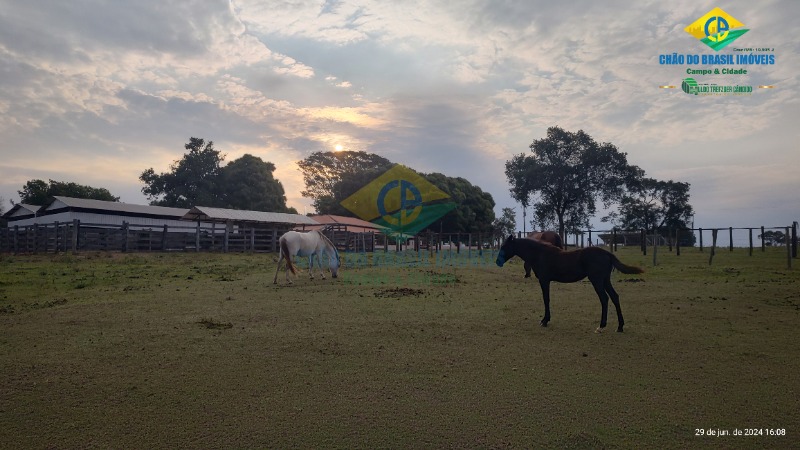 Fazenda à venda com 4 quartos - Foto 24