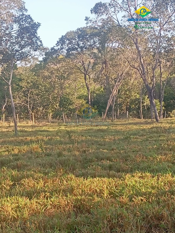 Chácara, 2 quartos - Foto 11