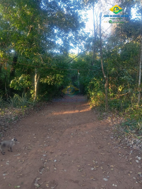 Chácara, 2 quartos - Foto 31