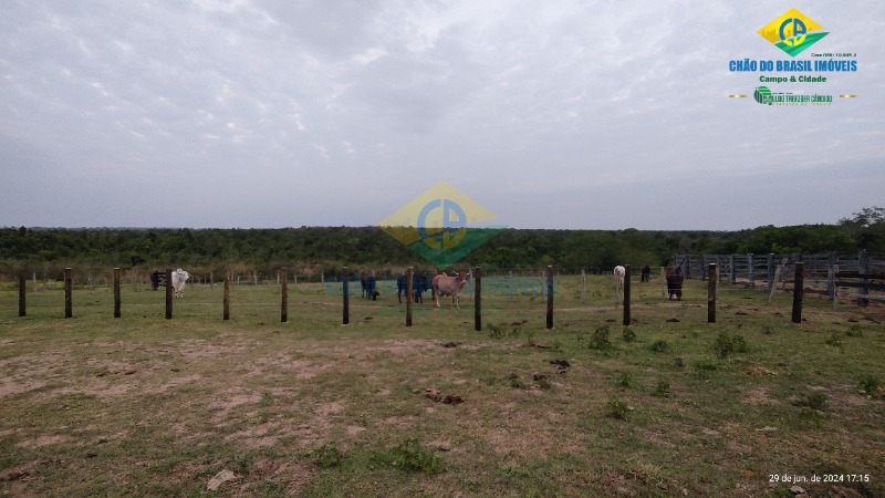 Fazenda à venda com 4 quartos - Foto 56