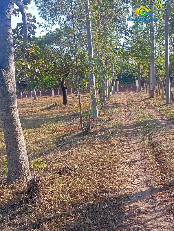 Chácara, 2 quartos - Foto 6
