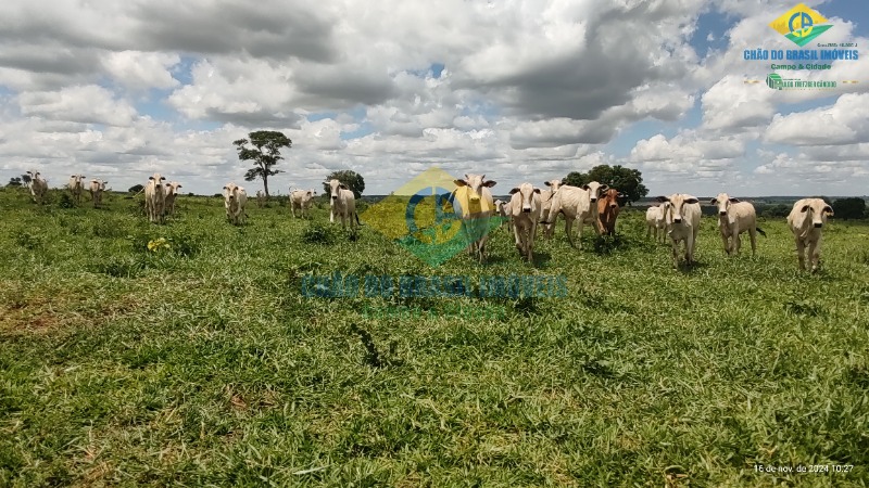 Fazenda à venda com 4 quartos, 200m² - Foto 1