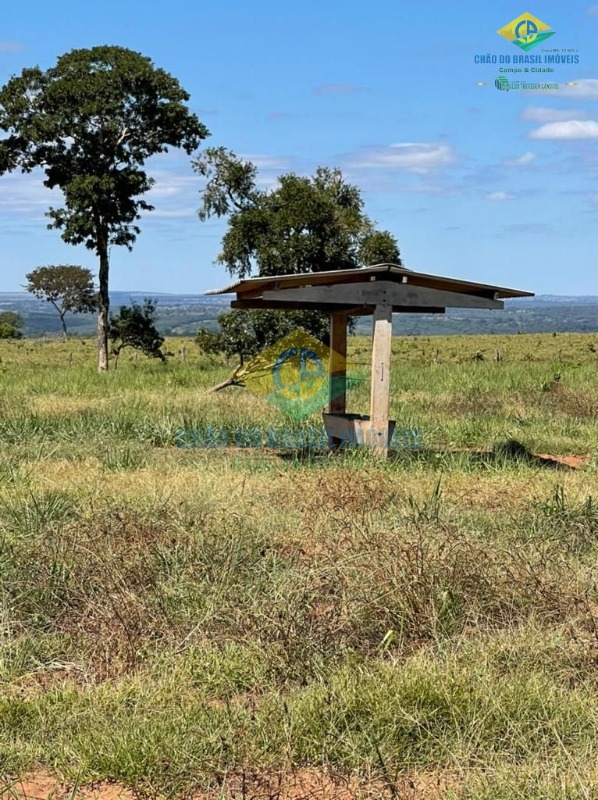 Fazenda à venda com 5 quartos, 200m² - Foto 1