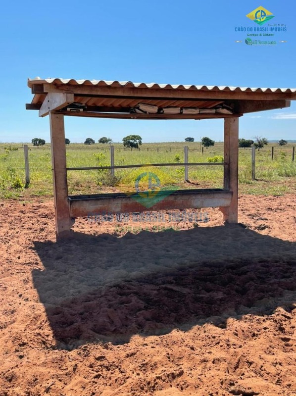 Fazenda à venda com 5 quartos, 200m² - Foto 8