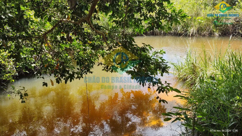 Fazenda à venda com 4 quartos, 200m² - Foto 42