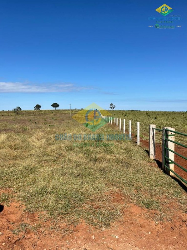 Fazenda à venda com 5 quartos, 200m² - Foto 6