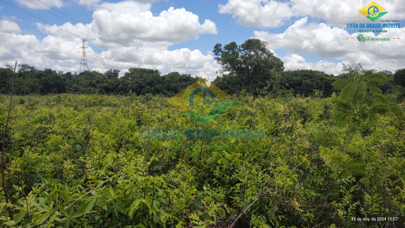 Fazenda à venda com 4 quartos, 200m² - Foto 24