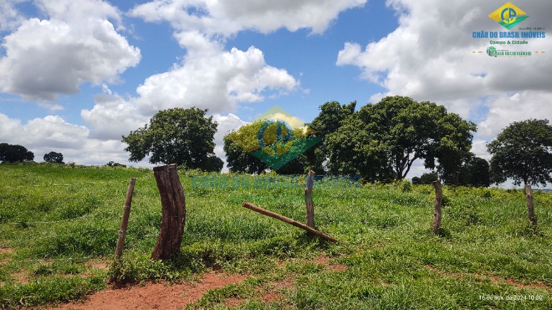 Fazenda à venda com 4 quartos, 200m² - Foto 7