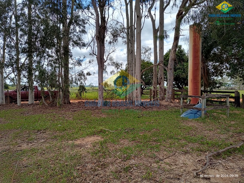 Fazenda à venda com 4 quartos, 200m² - Foto 47