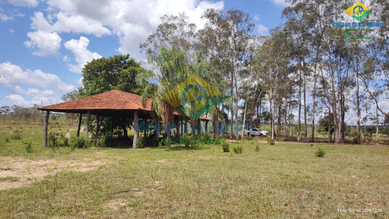 Fazenda à venda com 4 quartos, 200m² - Foto 50