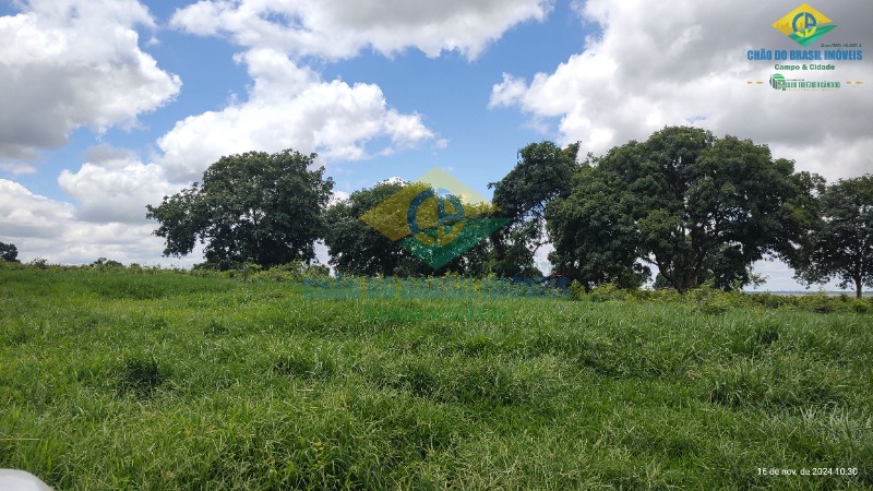 Fazenda à venda com 4 quartos, 200m² - Foto 6