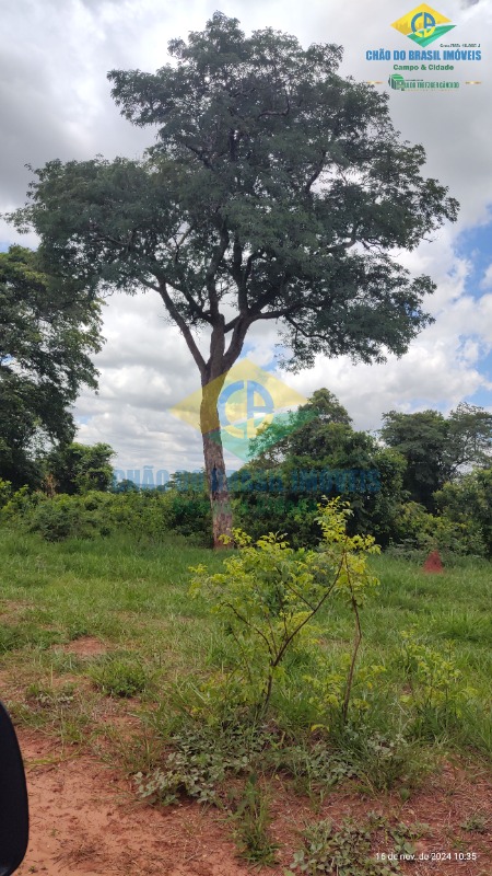 Fazenda à venda com 4 quartos, 200m² - Foto 20