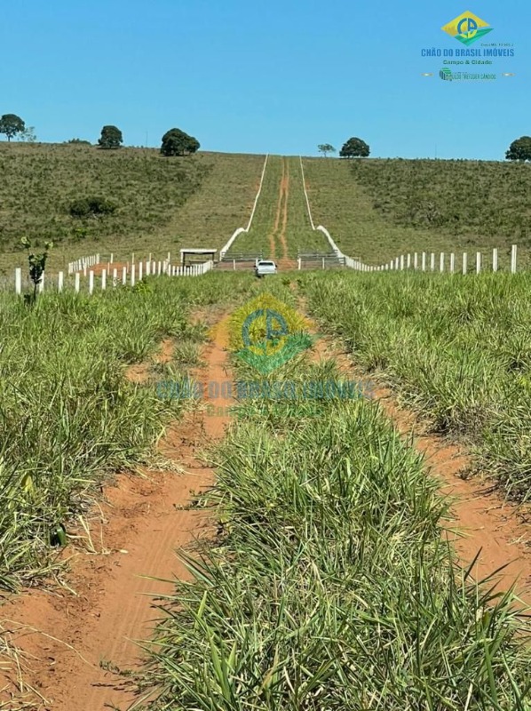 Fazenda à venda com 5 quartos, 200m² - Foto 4