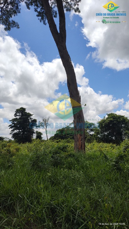 Fazenda à venda com 4 quartos, 200m² - Foto 21