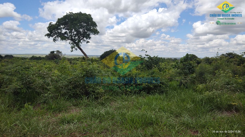 Fazenda à venda com 4 quartos, 200m² - Foto 13