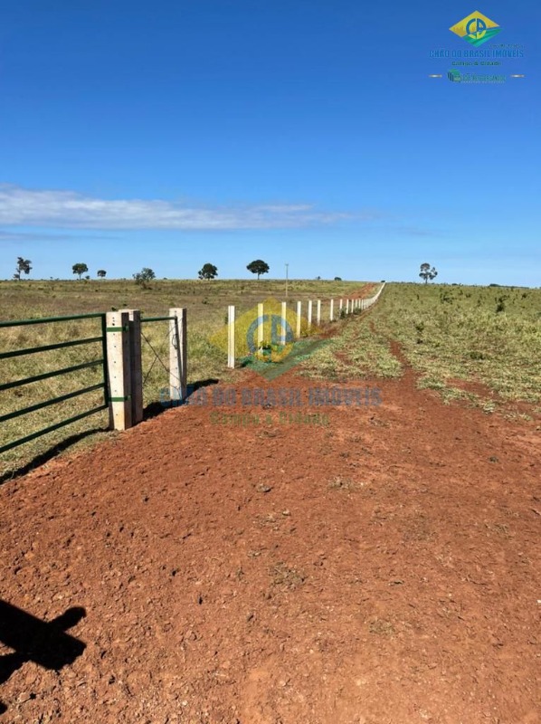 Fazenda à venda com 5 quartos, 200m² - Foto 3