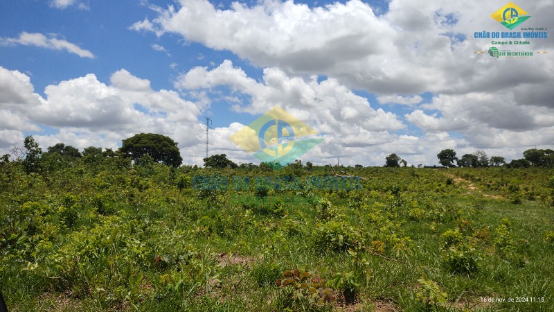 Fazenda à venda com 4 quartos, 200m² - Foto 25