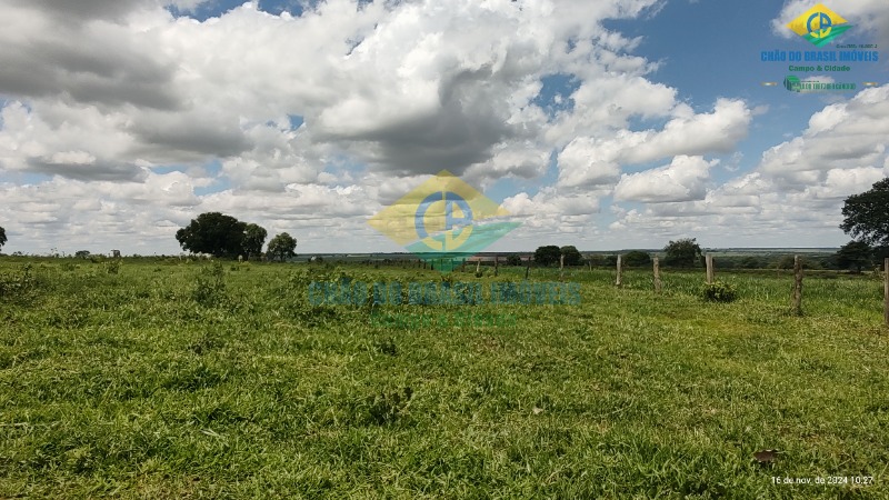 Fazenda à venda com 4 quartos, 200m² - Foto 4