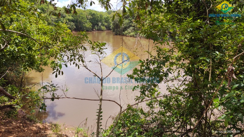 Fazenda à venda com 4 quartos, 200m² - Foto 30