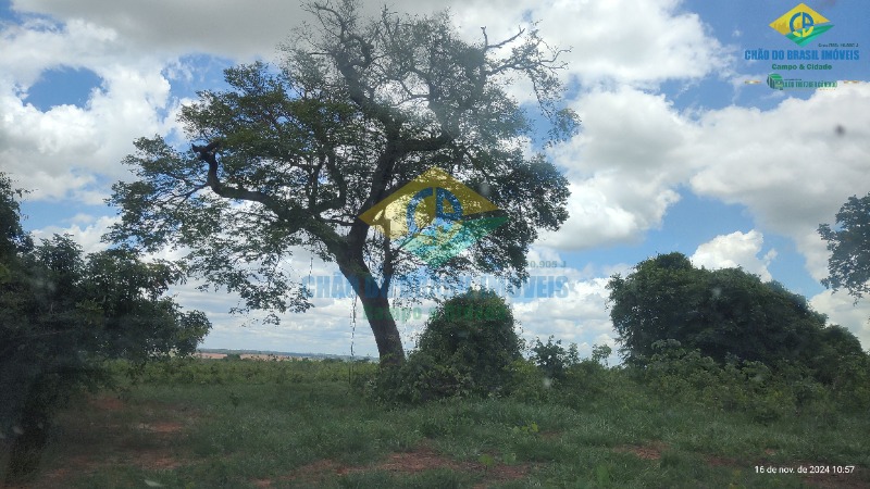 Fazenda à venda com 4 quartos, 200m² - Foto 22